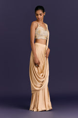 Beige Embroidered Pre-Draped Saree Set