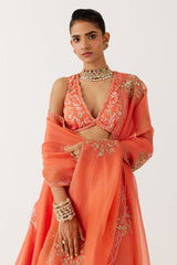 Orange Dori and Sequins Embroidered Lehenga Set
