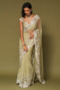 Pistachio Embroidered Net Saree Set