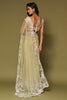 Pistachio Embroidered Net Saree Set