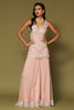 Blush Pink Embroidered Net Sharara Set