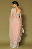 Blush Pink Embroidered Net Saree Set