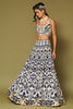 Midnight Navy Embroidered Georgette Lehenga Set