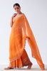 Natasha Luthra in Orange Embroidered Georgette Organza Saree