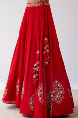 Red Dori Embroidered Cotton Silk Lehenga