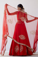Red Dori Embroidered Cotton Silk Lehenga