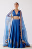 Blue Dori Embroidered Cotton Silk Lehenga