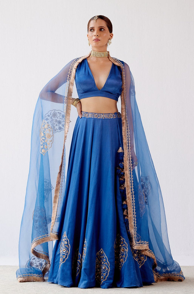 Blue Dori Embroidered Cotton Silk Lehenga