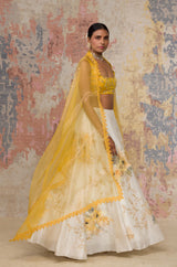 Mustard Silk Chanderi Hand-Painted Lehenga Set