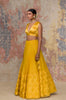 Sanjana Batra In Mustard Organza Lehenga Set