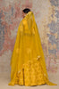 Sanjana Batra In Mustard Organza Lehenga Set