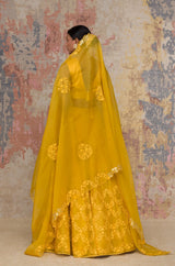Sanjana Batra In Mustard Organza Lehenga Set