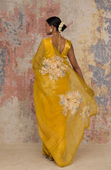 Sukhneet Wadhwa Gujral in Mustard Hand-Painted Organza Saree