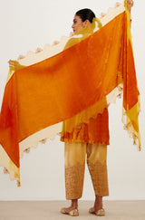 Saffron Zari Embroidered Velvet Salwar Set