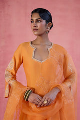 Orange Cotton Silk Blend Embroidered Anarkali Set