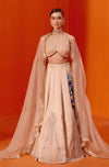 Beige Dori Embroidered Lehenga Set