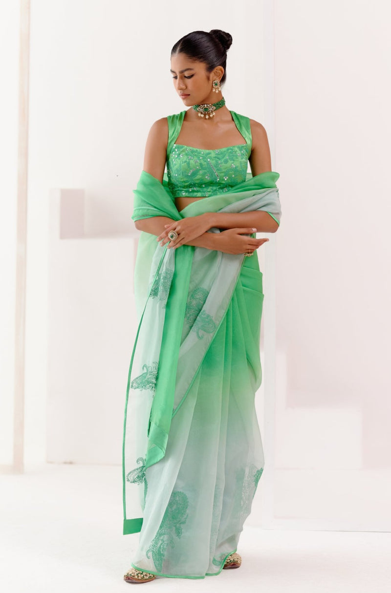 Green Embroidered Ombre Organza Saree