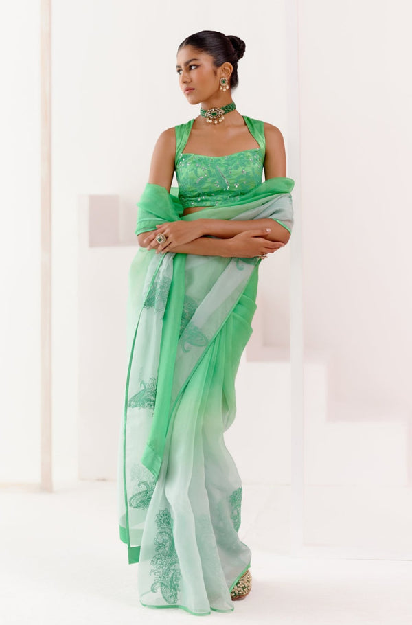 Green Embroidered Ombre Organza Saree