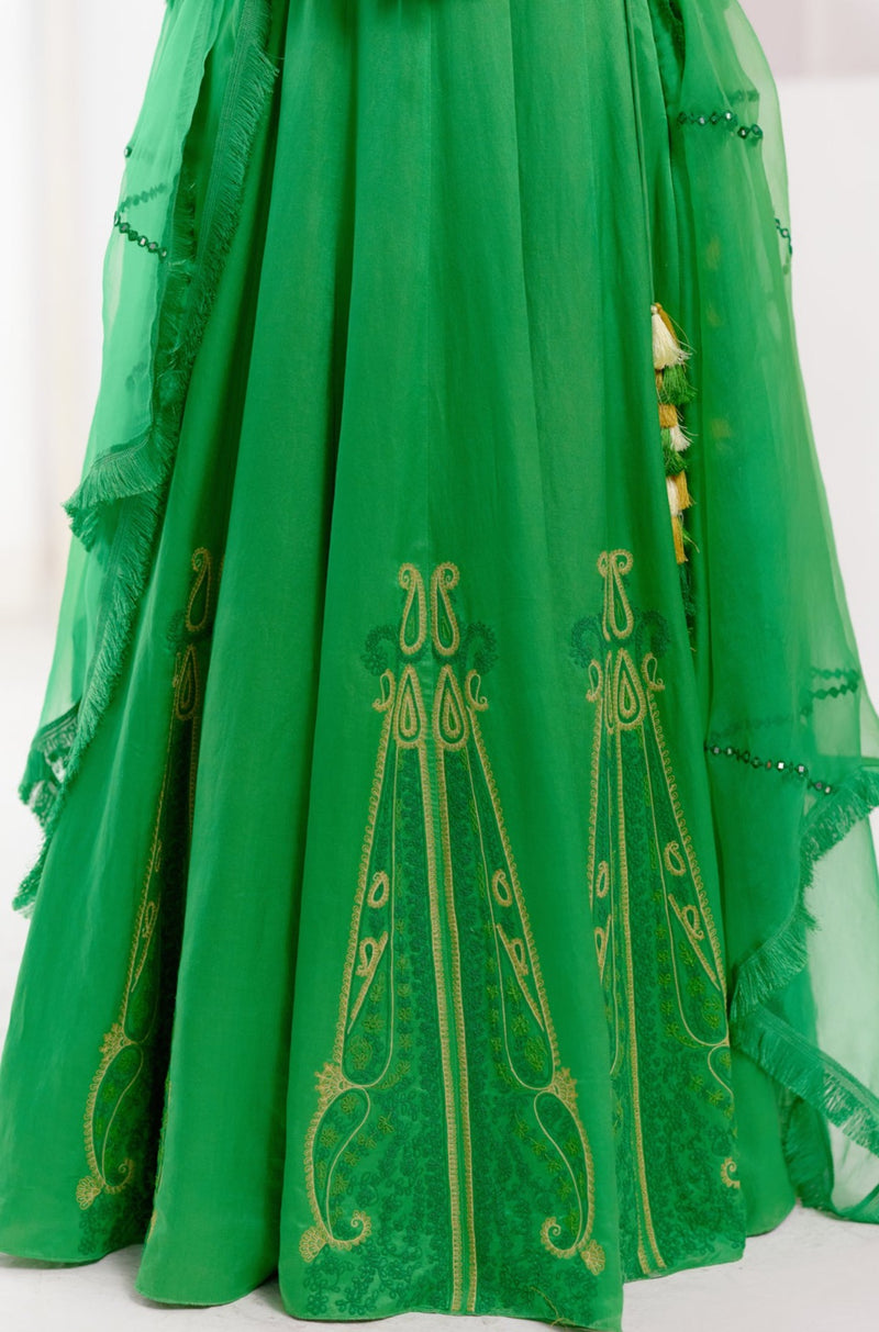 Green Dori Embroidered Lehenga Set