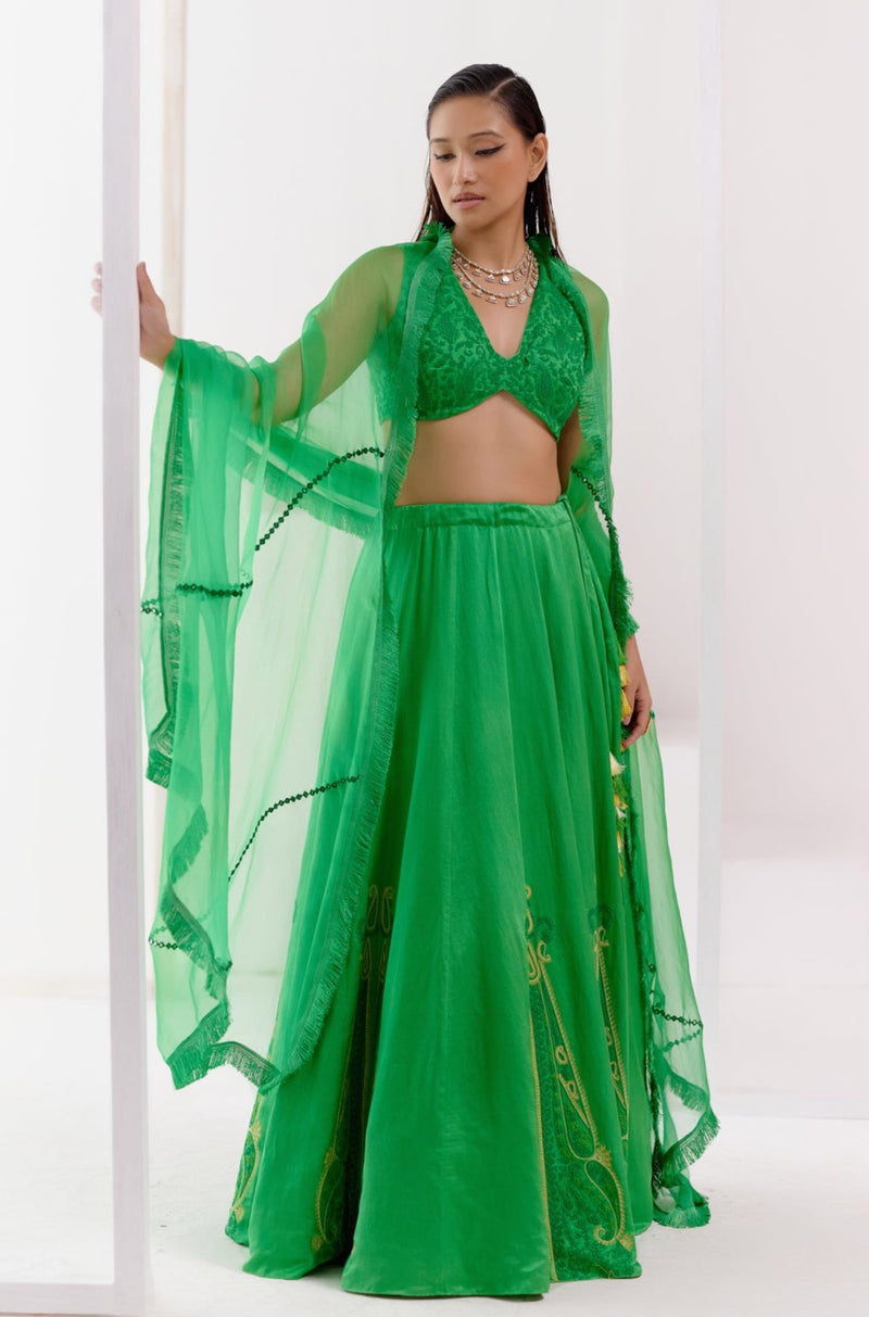 Green Dori Embroidered Lehenga Set