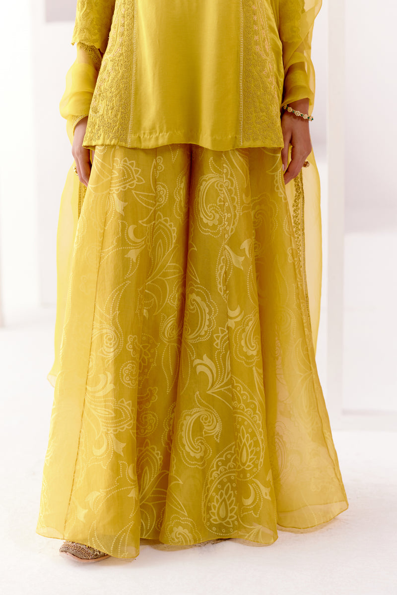 Mustard Embroidered Sharara Set