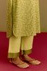 Lime Green hand block print kurta set