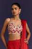 Black Embroidered Pre-Draped Saree Set