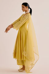 Yellow Silk Chanderi Dori Embroidered Anarkali Set