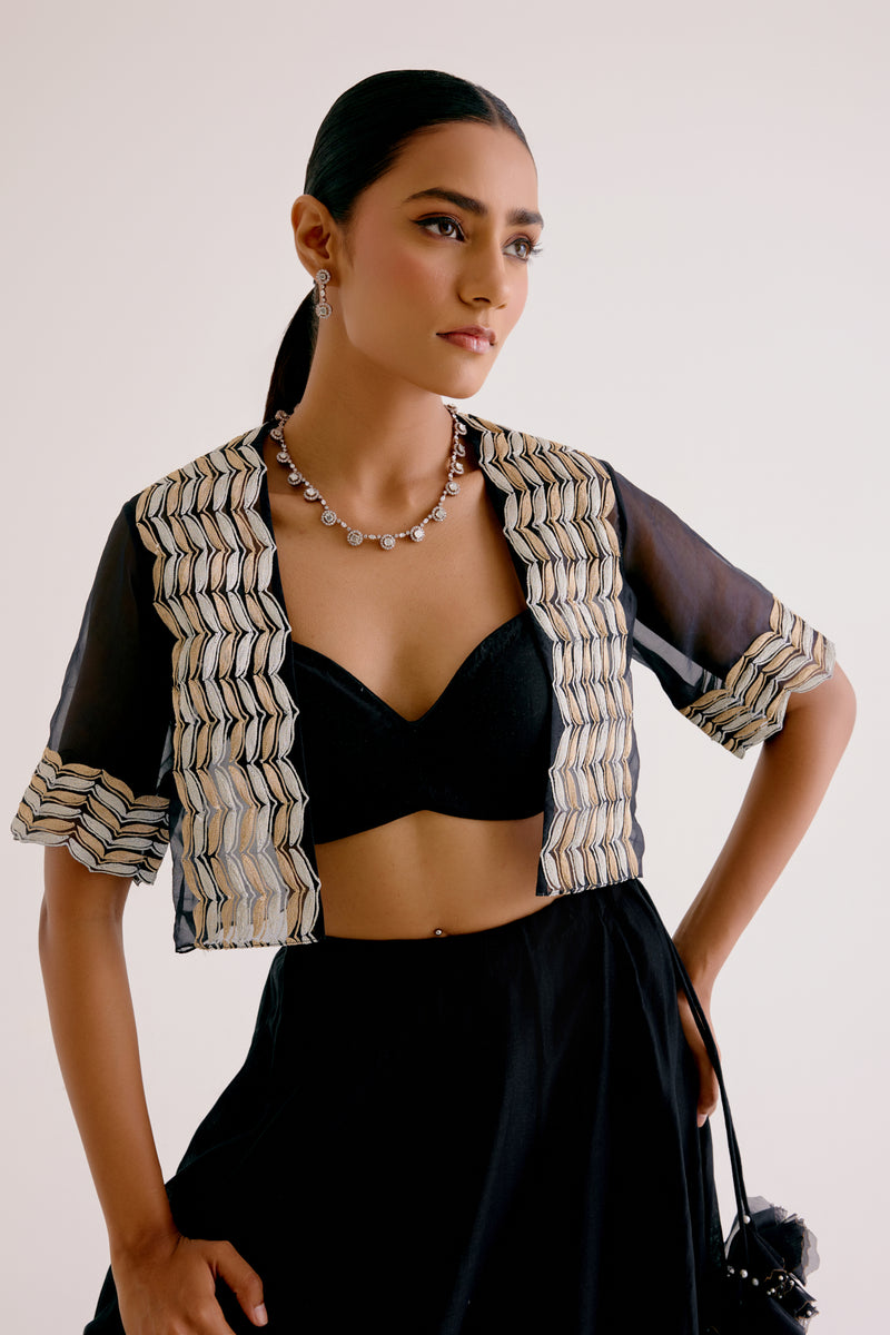 Black Silk Chanderi Hand-Painted Lehenga and Short Jacket Set