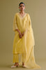 Yellow Silk Chanderi Dori Embroidered Kurta Set (RTS)
