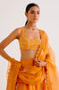 Orange Chanderi Hand Painted Lehenga Set