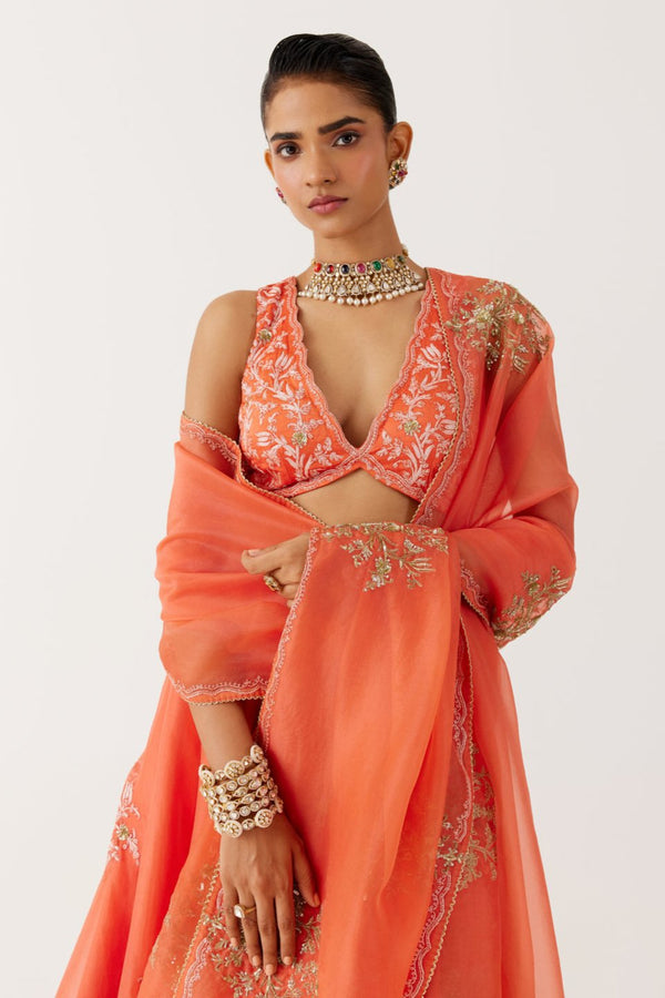 Orange Dori and Sequins Embroidered Lehenga Set
