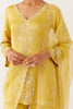Mustard Yellow Dori Embroidered Sharara Set
