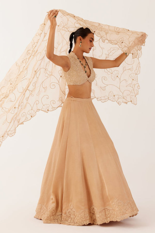 Golden Beige Embroidered Silk Satin Lehenga