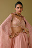 Onion Pink Embroidered Silk Satin Lehenga