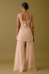 Golden Beige Dori Embroidered Sharara Set