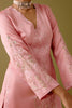 Blush Pink Dori Embroidered Sharara Set