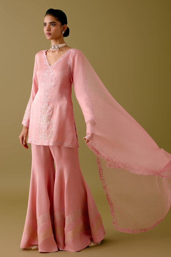 Blush Pink Dori Embroidered Sharara Set
