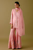 Blush Pink Dori Embroidered Sharara Set