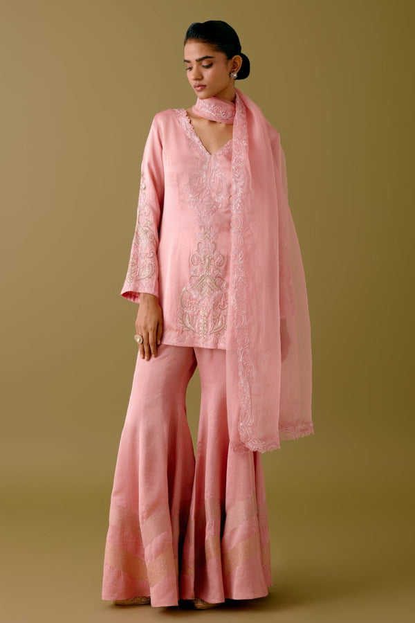 Blush Pink Dori Embroidered Sharara Set