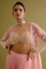Blush Pink Embroidered Sharara and Jacket Set