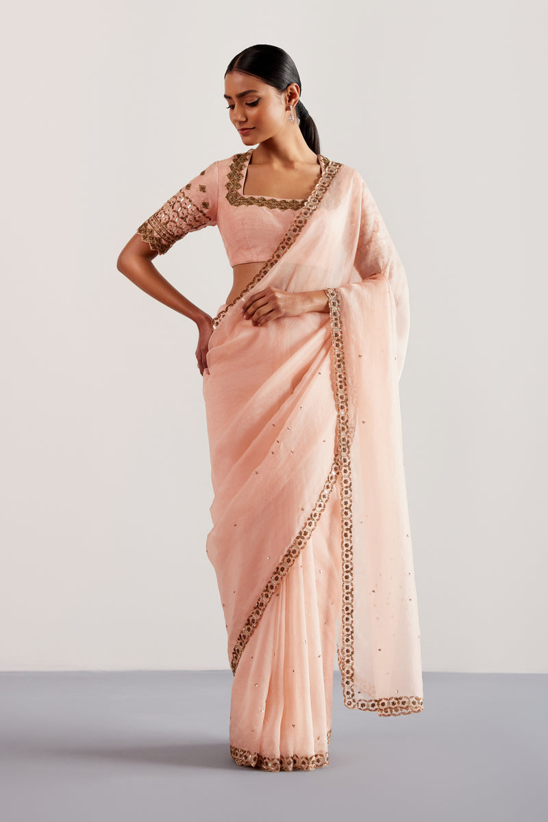 Blush Pink Hand Embroidered Silk Organza Saree