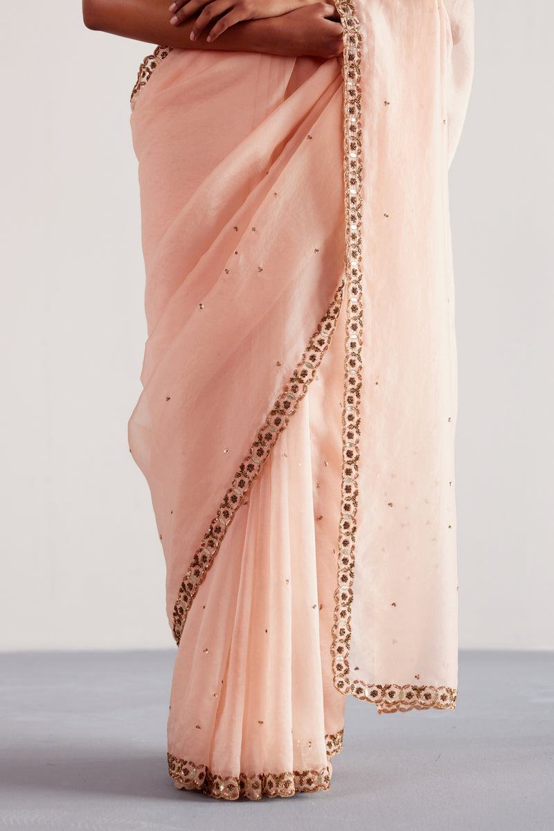 Blush Pink Hand Embroidered Silk Organza Saree