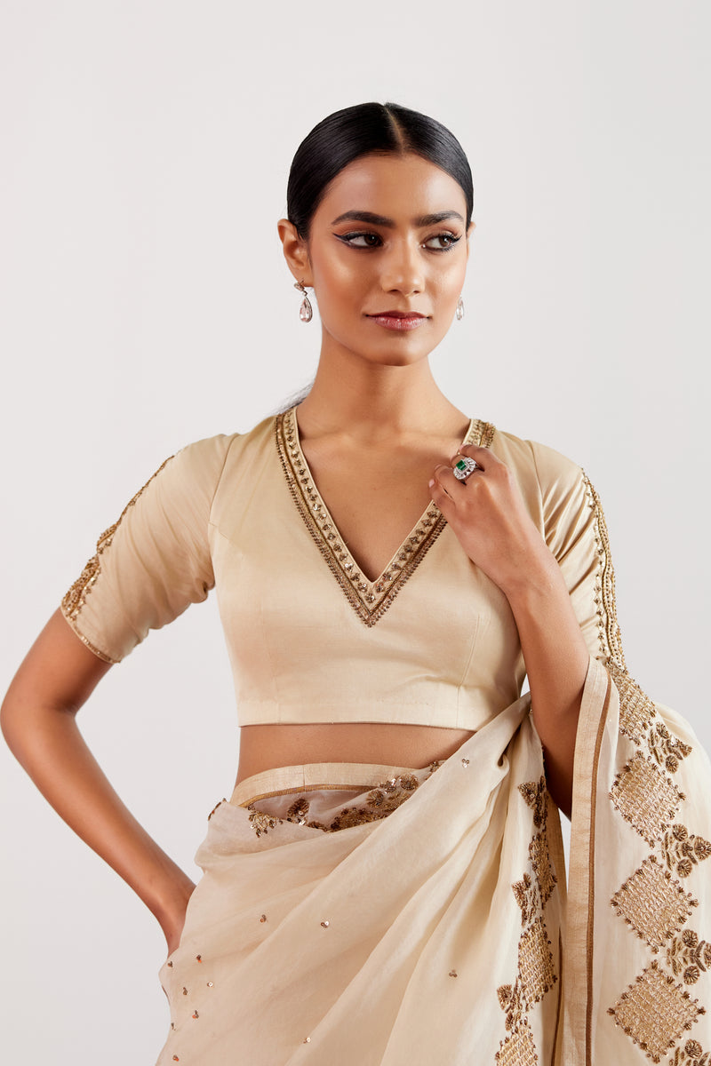 Beige Zardozi and Sequins Hand Embroidered Silk Organza Saree