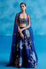 Navy Silk Chanderi Hand Painted Lehenga Set