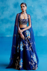 Navy Silk Chanderi Hand Painted Lehenga Set