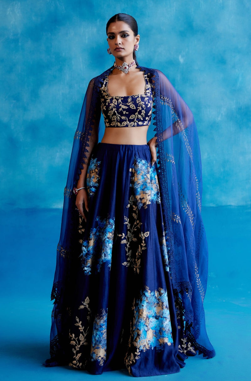 Navy Silk Chanderi Hand Painted Lehenga Set