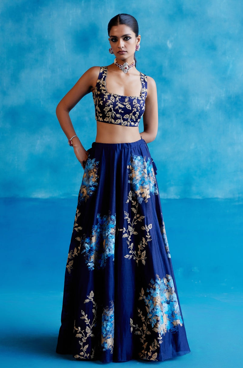 Navy Silk Chanderi Hand Painted Lehenga Set