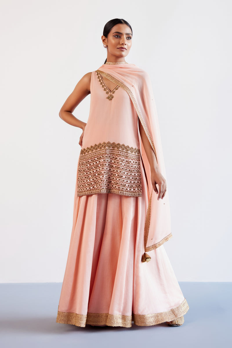 Blush Pink Hand Embroidered Pure Georgette Sharara Set