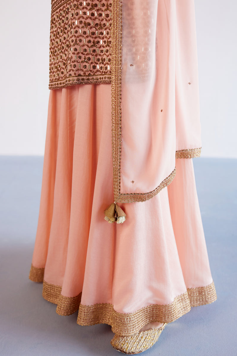 Blush Pink Hand Embroidered Pure Georgette Sharara Set